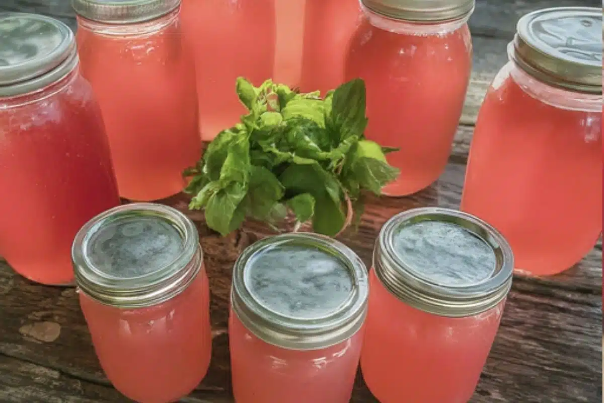 Finished Watermelon Moonshine in mason jars.