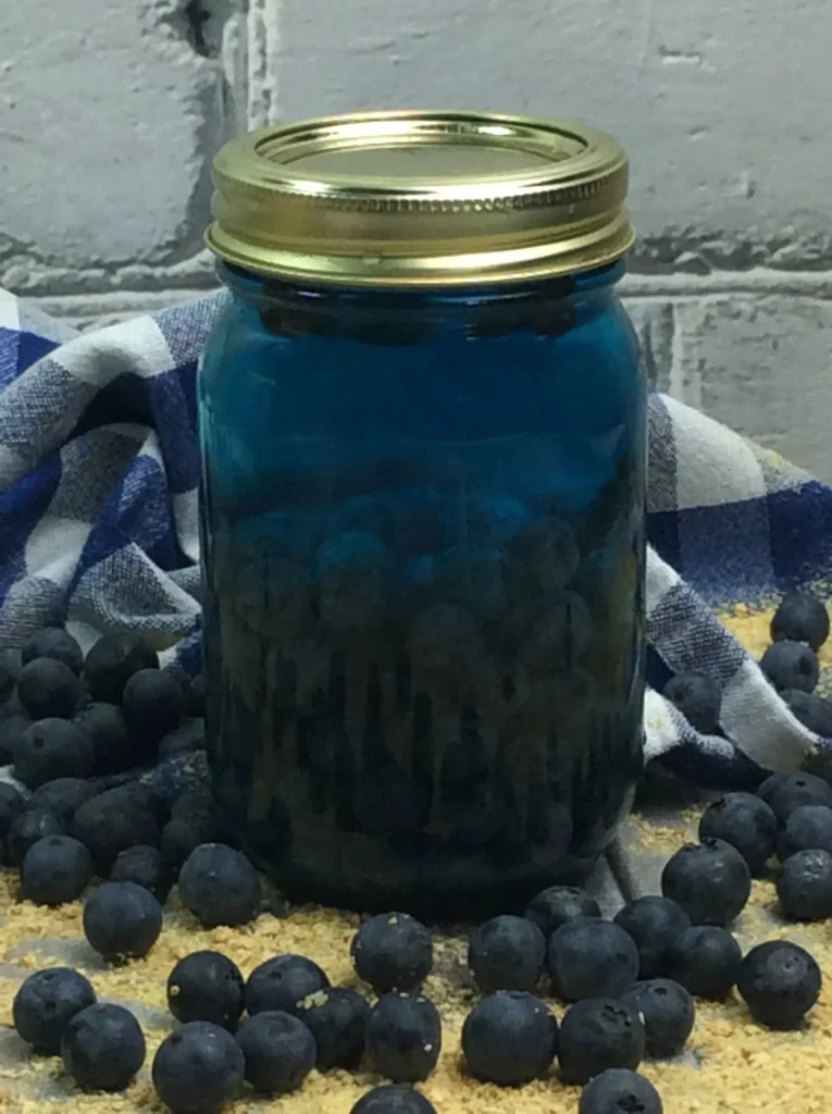 blueberry moonshine recipe