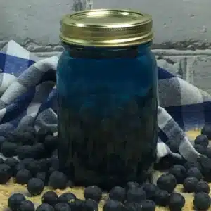 Blueberry Cobbler Moonshine Recipe 2 blueberry pie 4