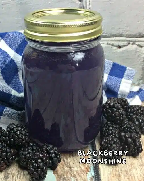 Blackberry Moonshine in Mason Jar