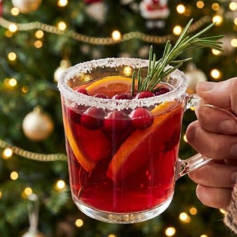 Christmas punch recipe glass with sugared rim and cranberries