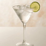 gin martini cocktail recipe 695da9c79da69 1