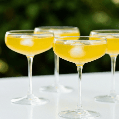 yellow chartreuse cocktails 6997d77ca4c3b 1