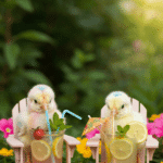 two chicks lemonade cocktail variety 69b0f3b175cfc 1